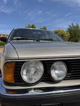 
										BMW 735i [CLASSIC] full									